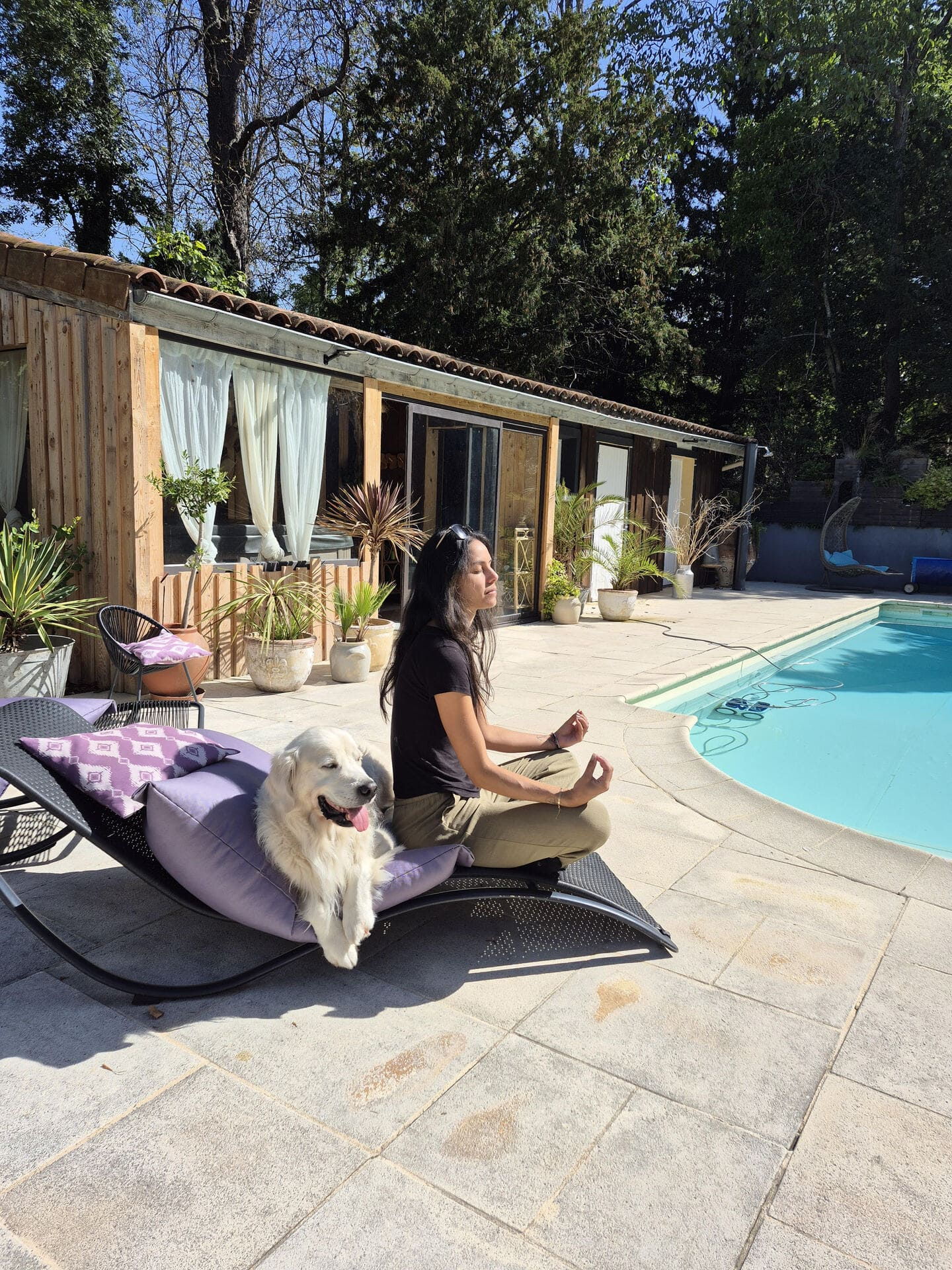 vacances avec son chien