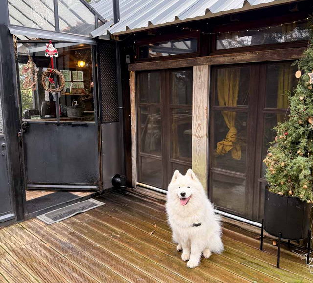 cabane glass exterieur chien