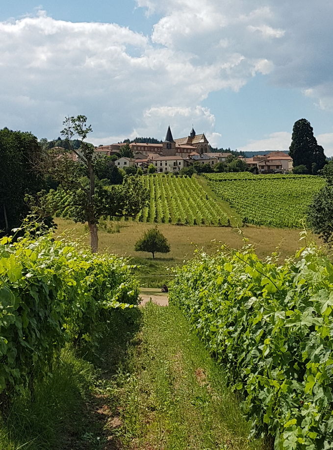 roanne tourisme ambierle vignoble