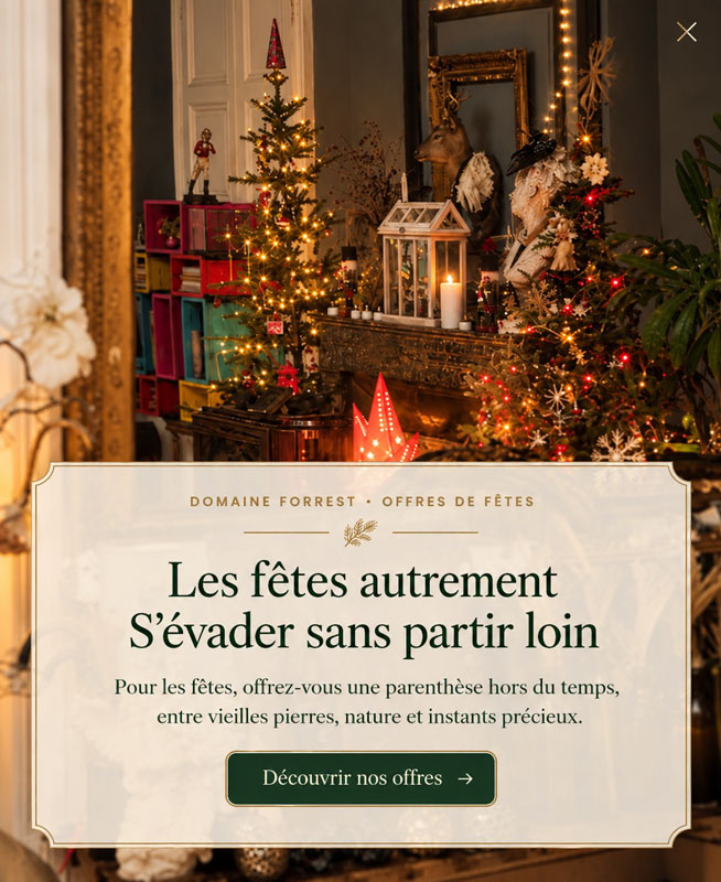 Offres spéciales noël